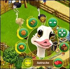 Dans les animaux suivants, lequel n'est pas visible sur la page d'accueil ?