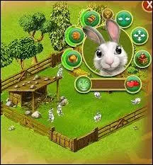 Toujours sur la page d'accueil, quel animal trouve-t-on entre le lapin et le koala ?