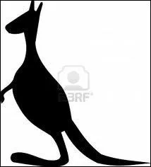 Combien vaut un kangourou ?