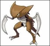 Quel est ce Pokmon ?