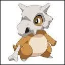 Quel est ce Pokmon ?