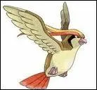 Quel est ce Pokmon ?