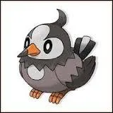 Quel est ce Pokmon ?