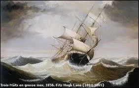 Comme je descendais des fleuves impassibles je ne me sentis plus guid par les haleurs ...