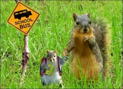 Trouvez le mot correspondant !