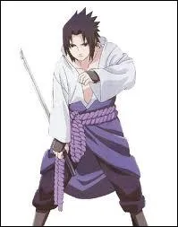 Quelles sont les ambitions de Sasuke ?