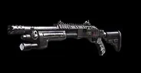 Quel est le nom de cette arme ?