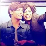 Qui est le meilleur ami de Harry ? (en dehors du groupe)