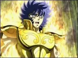 Quelle armure d'Or a port Ikki  Elysion ?