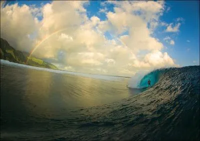 Quel danger mortel peut ventuellement courir un surfeur australien ?
