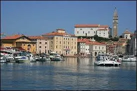 O se trouve le port de Piran ?