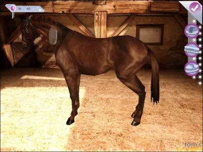 De quel jeu provient cette image ?