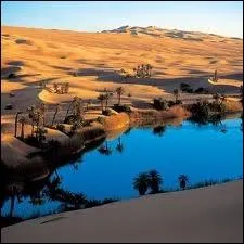 Quelle est la capitale du Tchad ?