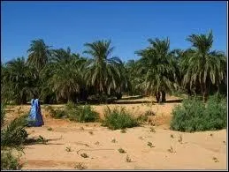 Quelle est la capitale de la Mauritanie ?