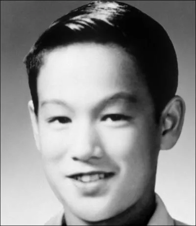 Il est considr comme le plus grand matre d'arts martiaux dans le cinma mondial du XXe sicle (1940-1973).