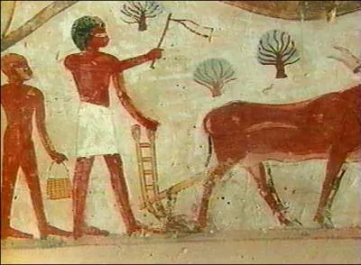 Quand le (... ) a pass, la plaine devient blonde,