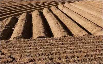 La paix (... ) doux yeux sort du (... ) entrouvert,