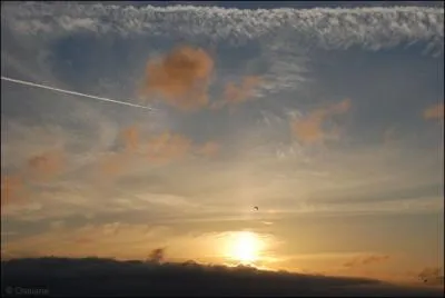 Et l'aube en (... ) sourit. - Veux-tu, (... ) arbre vert,