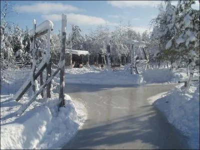 C'est l'hiver ; nous avons bien froid. (... ), bon arbre,