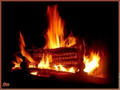 - Bois, je viens de la terre, et, (... ), je monte au ciel,