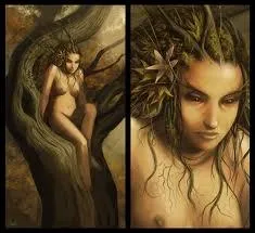 Issues de la mythologie grecque, elles taient des nymphes tout particulirement associes aux chnes, et d'ordinaire figures sous les traits de belles et timides jeunes filles :