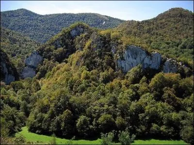 Quelle pierre extrait-on à Arudy , en vallée d'Ossau ?