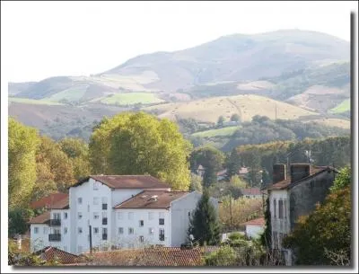 Quelle rivière traverse Cambo-les-Bains ?