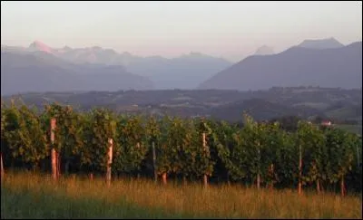 Qu'a-t-on découvert à Lacq à la fin des années 1940 ?