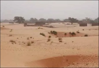  Lors de nos vacances en Afrique nous fmes surpris par  l'harmattan   : que veut dire harmattan ?