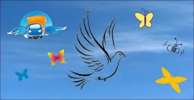 Quel (... ) ! Mes (... ) volent avec les pigeons bleus.