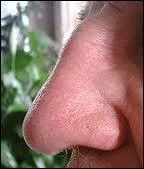 Le mot commence par : Di ...