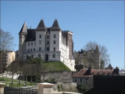 Situ sur une hauteur au centre de la ville, le chteau vit natre le futur Henri IV. On peut encore y voir son berceau dont la particularit est d'tre...