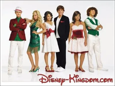 Quels acteurs jouent les rles principaux dans  High School Musical  ?