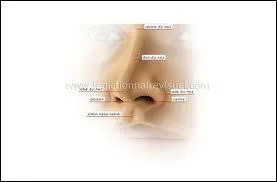 Le mot commence par : Do ...