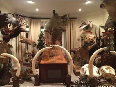 Imaginez un peu que vous soyez une pitaphe, laquelle ne concerne pas cette photo ?