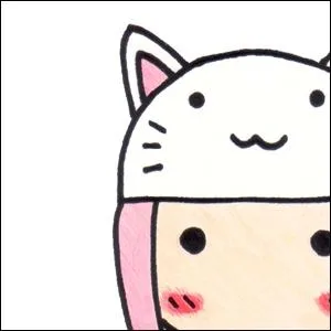 Et pour couronner le tout... cochez la seule fausse affirmation :