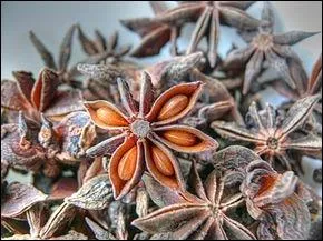 Issue d'un petit arbuste de la famille des magnolias. Epice au gout anis.