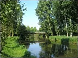 La Sienne est un fleuve qui se jette ...