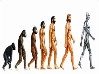 Quel animal dsigne galement une partie de l'anatomie humaine ?