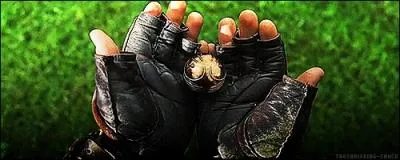 De quelle manire Harry attrape-t-il son premier Vif d'or ?