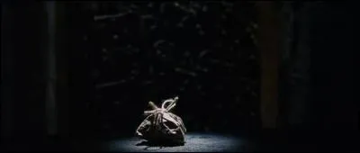 Qu'y a-t-il sous la trappe ?