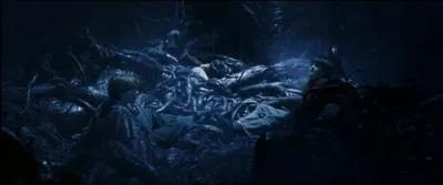 Une fois sous cette trappe, le trio est emptr dans une trange plante. Quelle est-elle ?