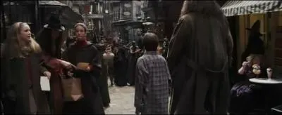 Quel est le cadeau d'anniversaire de Harry ?