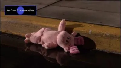 O Haley trouve-t-elle cette peluche ?