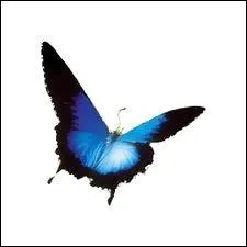 Une victime d'un TC peut-elle encore progresser aprs une anne ? 