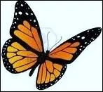 Le cerveau d'une victime peut-il encore crer de nouvelles connexions par les apprentissages ?