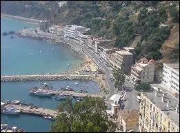 Dans quel pays se situe le port de Skikda ?