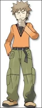 Quels sont les Pokmon de Pierre au PWT ?