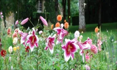 La posie bucolique des jardins fleuris en contrepoint des jardins blancs et de l'art topiaire. Nous nous trouvons sur un site d'un charme incontestable, une visite s'impose aux jardins du :