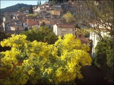 Le parc des Cigalous est le lieu de rencontres de ppiniristes botanistes qui viennent y exposer et vendre des plantes et des varits rares issues de leurs collections. Retrouvez-les  :